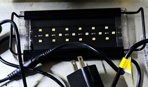 LEDライト 水作 ライトアップ  150 ブラック